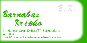 barnabas kripko business card